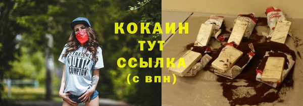 ГАЛЛЮЦИНОГЕННЫЕ ГРИБЫ Карталы