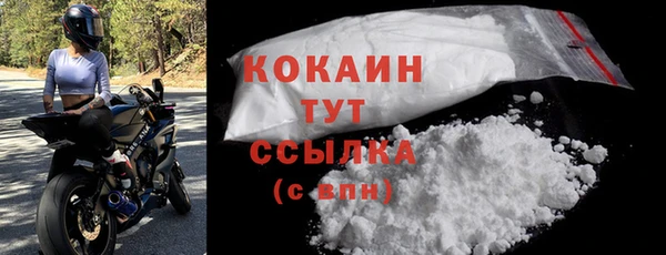 кокс Арсеньев