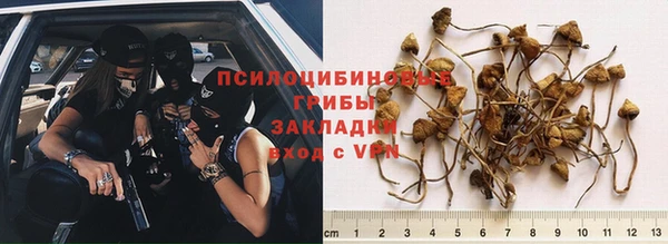 mdpv Елабуга