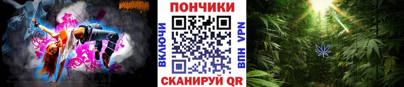 купить  сайты  Фатеж  Шишки марихуана OG Kush 
